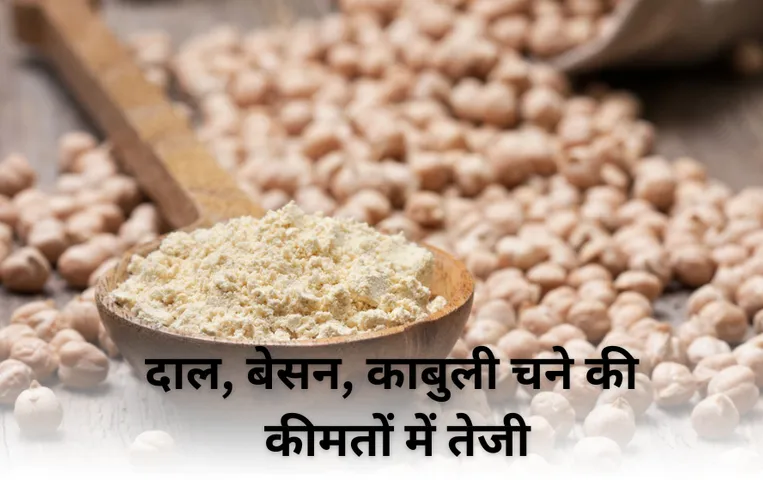 Pulses Price In MP: त्योहारी सीजन में दाल, बेसन, काबुली चने में तेजी, किसानों को फायदा, आम आदमी की होगी जेब ढीली