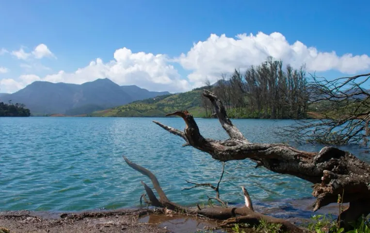 Bollywood Films in Ooty: ऊटी की इन जगहों पर शूट हुई हैं बॉलीवुड की कुछ सुपरहिट फिल्में, देखें पूरी लिस्ट