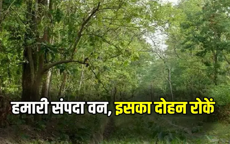 National Forest Martyrs Day 2024