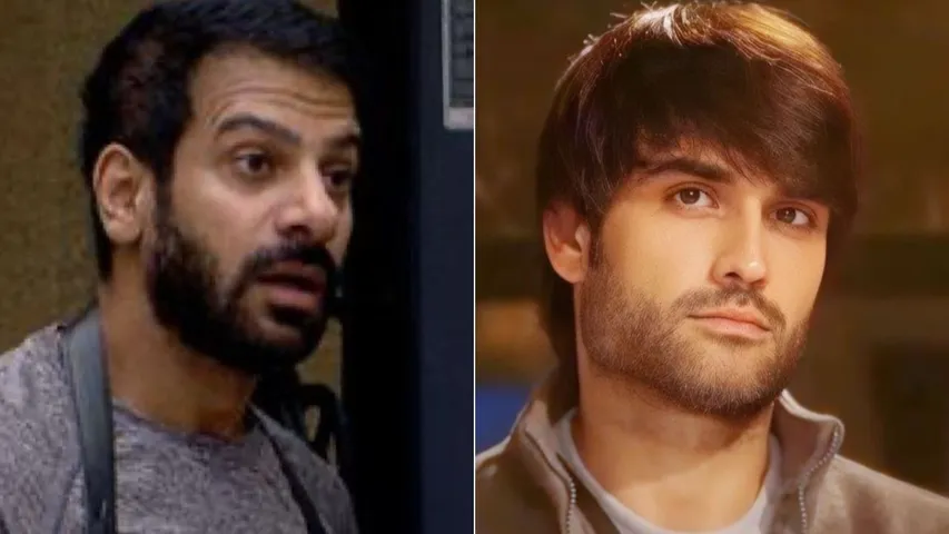 Bigg Boss 18 Vivian Dsena Annoyed by Karanveer Mehra's Family Remarks