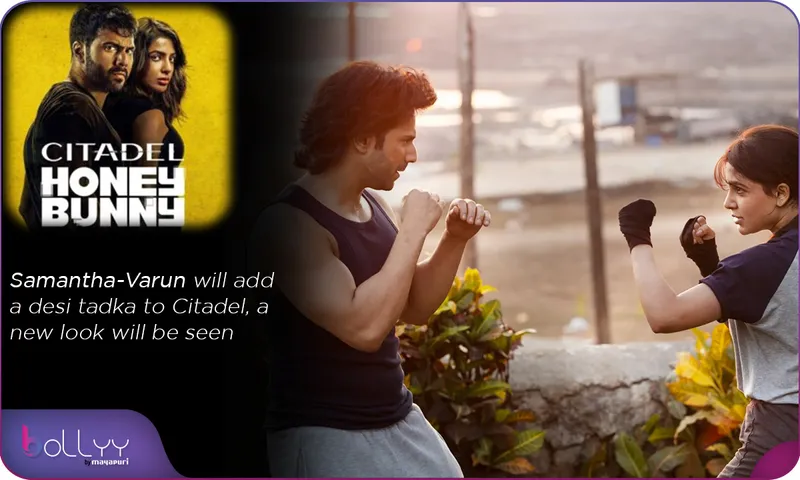 Samantha-Varun will add a desi tadka to Citadel, a new look will be seen