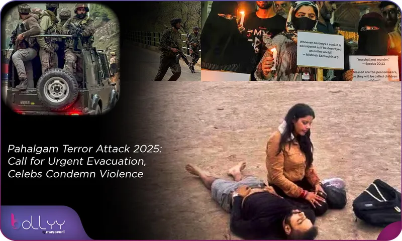 Pahalgam Terror Attack 2025 Call for Urgent Evacuation, Celebs Condemn Violence