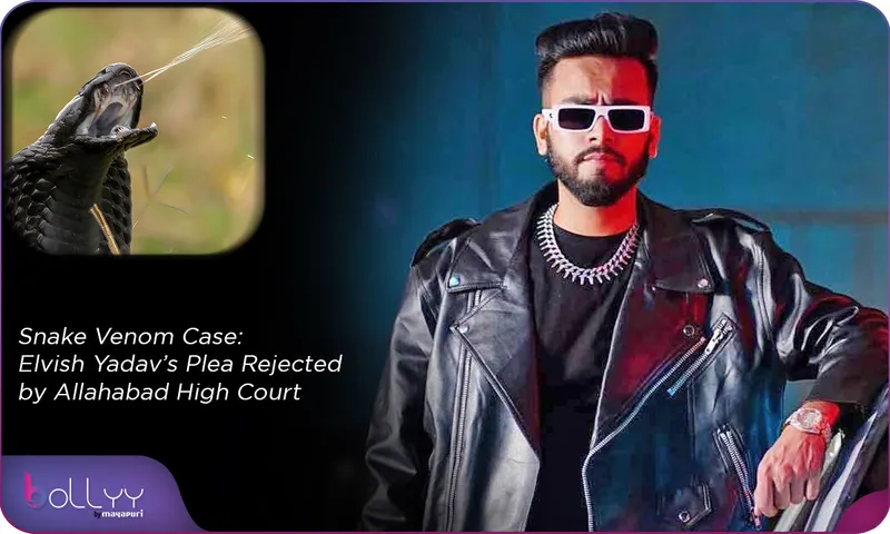 Snake Venom Case Elvish Yadav’s Plea Rejected by Allahabad High Court