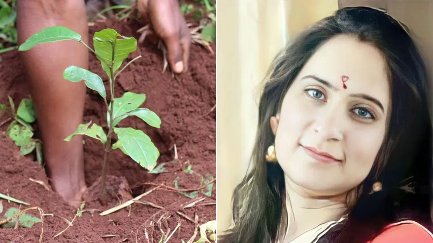 Did You Check Last Year’s Saplings Too