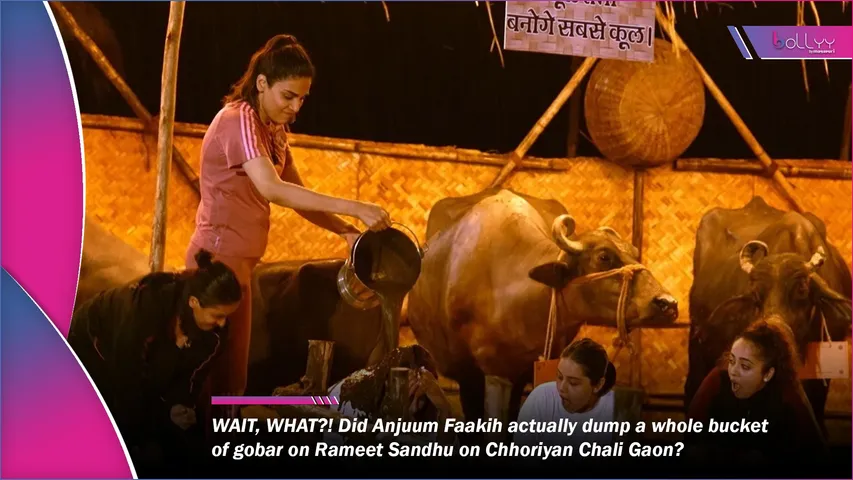 Rameet Sandhu on Chhoriyan Chali Gaon