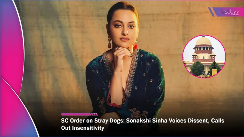 SC Order on Stray Dogs