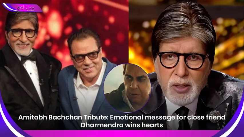 Amitabh Bachchan Tribute