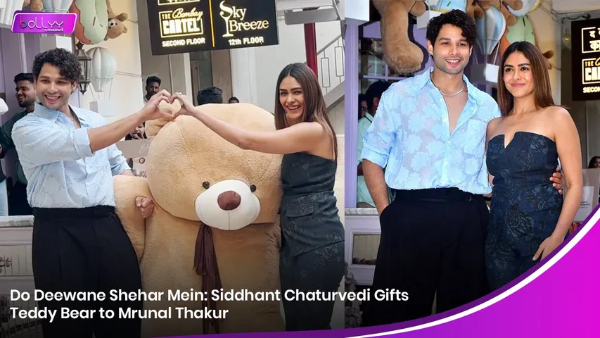 Do Deewane Shehar Mein: Siddhant Chaturvedi Gifts Teddy Bear to Mrunal Thakur