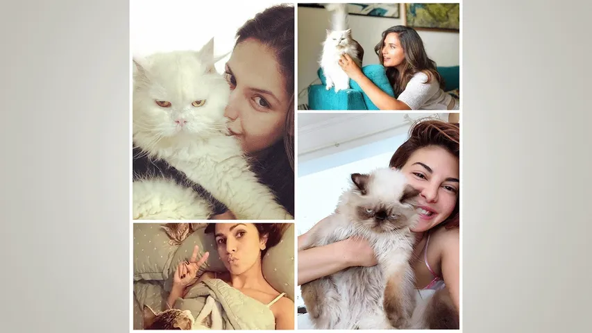 International Cat Day Four actresses who're proud cat moms