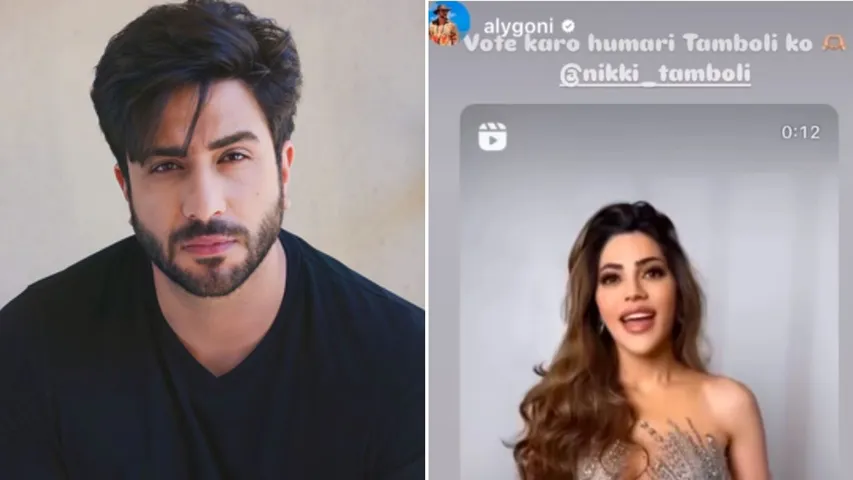 Aly Goni Supports Nikki Tamboli's 'Bigg Boss Marathi' Nomination