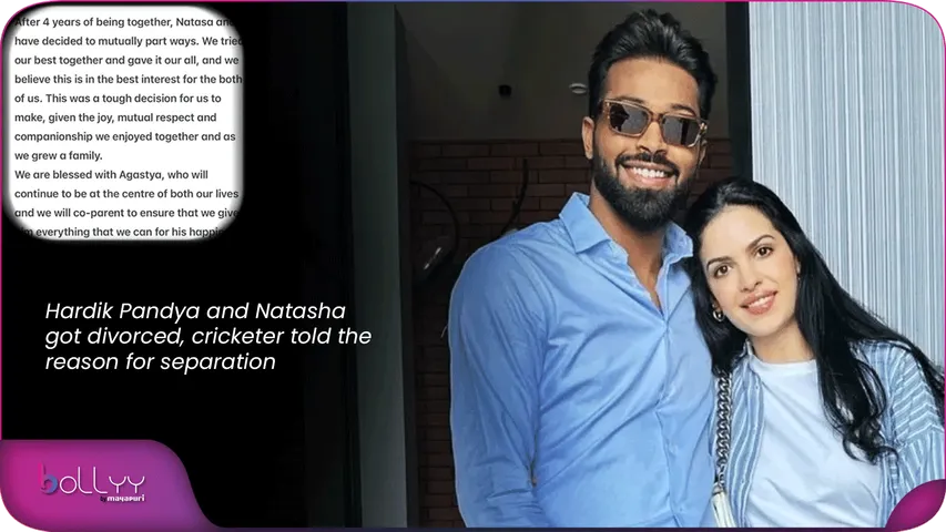 Hardik Pandya and Natasha got divorced, cricketer told the reason for separation