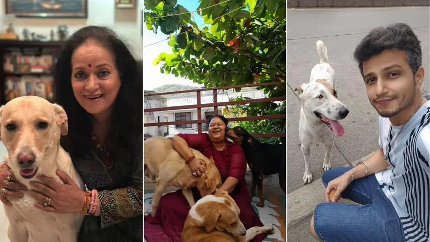 &TV Actors Celebrate International Dog Day with Their Rescued Dogs!