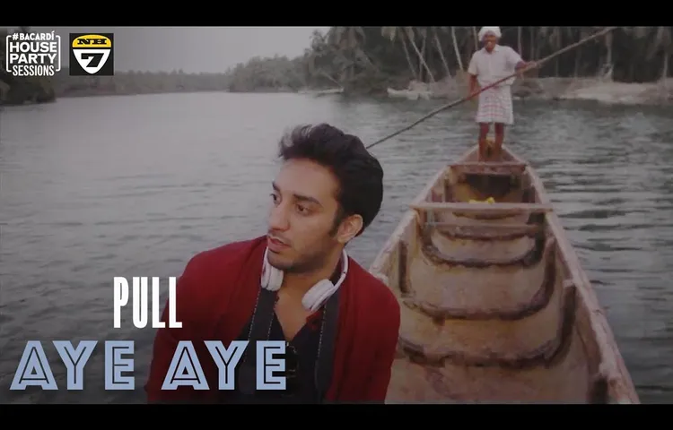 aye-aye-pull