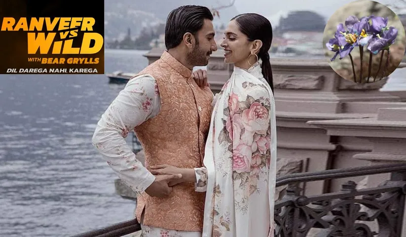 A Rare Wild Flower to Deepika from Ranveer... By Mehak Reejonia