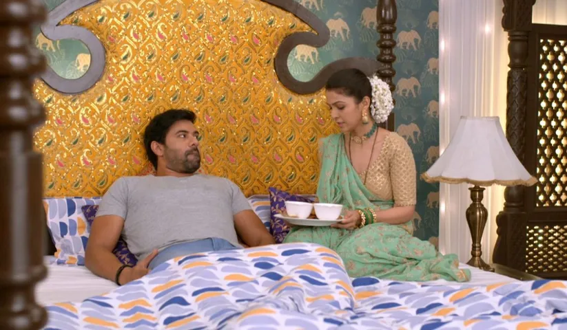 'Pyar Ka Pehla Naam Radha Mohan': Damini's new plan to get rid of Tulsi and Radha