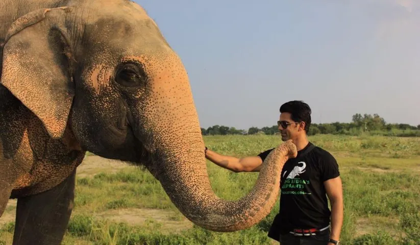 Instead of getting Bappa home, I am raising money for an NGO that works towards the cause of aging and injured elephants: Anuj Sachdeva on Ganesh Chaturthi