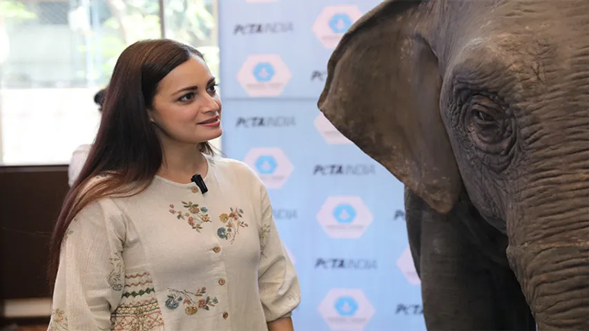 "I voiced Ellie to help children like mine consider the life of a captive elephant," says Dia Mirza