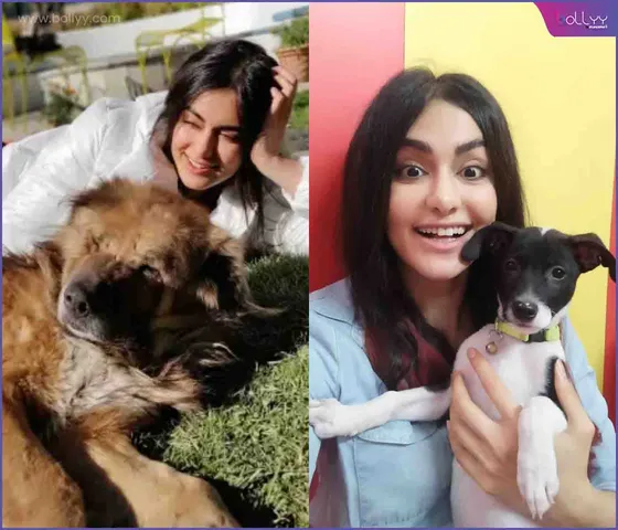 Adah Sharma
