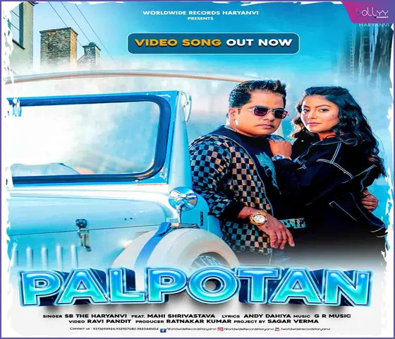Palpotan
