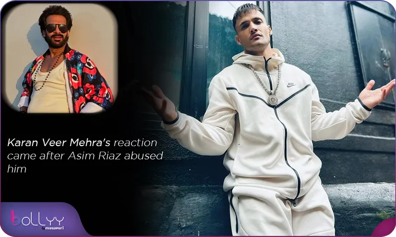 Karan Veer Mehra's reaction came after Asim Riaz abused him