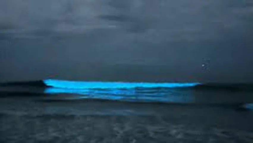 Chennai Beach Illuminated by glowing blue waves at night