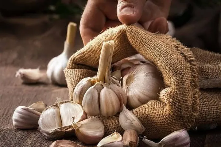 Garlic prices skyrocket in Bharuch as winter boosts demand