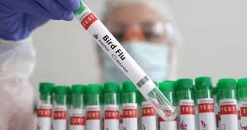 New Zealand reports first case of H7 bird flu