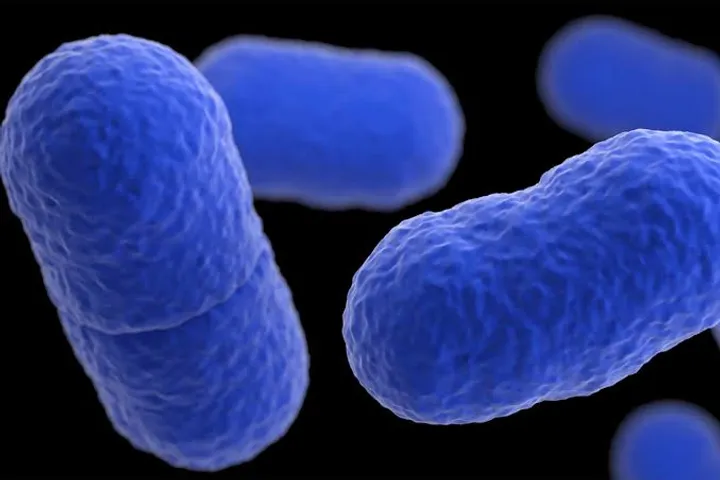 US listeria outbreak: At least 10 people hospitalised after eating contaminated food