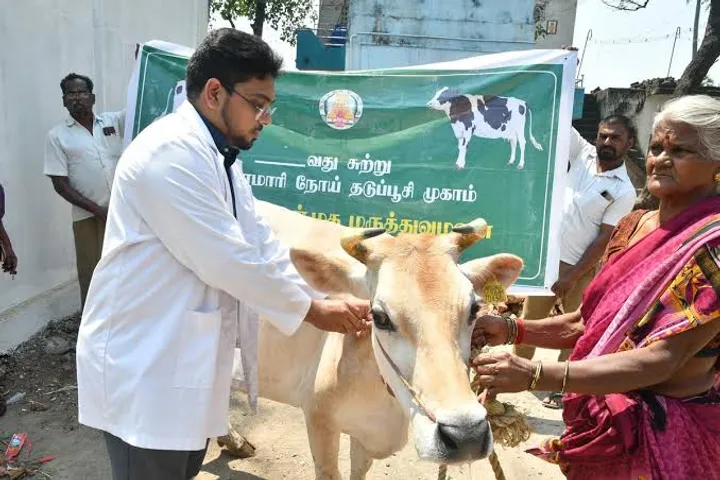 FMD vaccination for cattle begins in Vellore, Ranipet districts