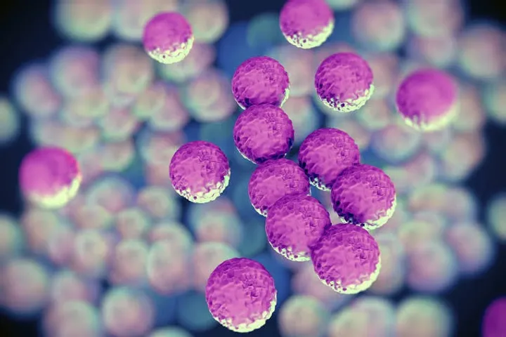 Superbugs threaten lives and may cost $2 trillion a year by 2050: Report