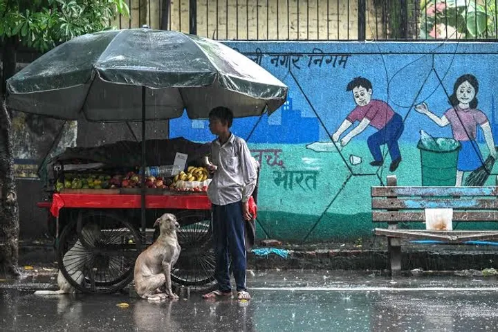 The Supreme Court today reserved Order on the pleas to stay the directions passed by a two-judge bench on the 11th of August to remove the stray dogs in Delhi National Capital Region to shelter homes.