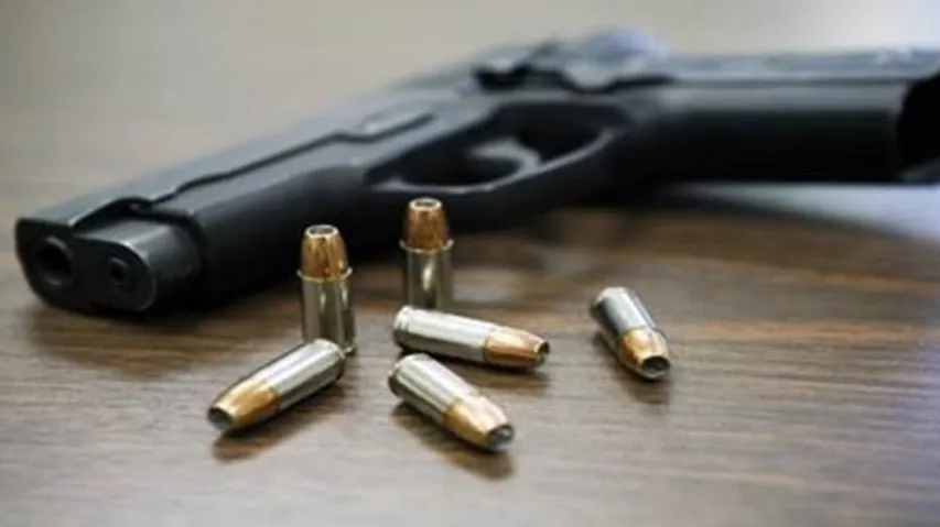 Gun, ammunition seized at Ahmedabad-Vadodara Expressway, three arrested