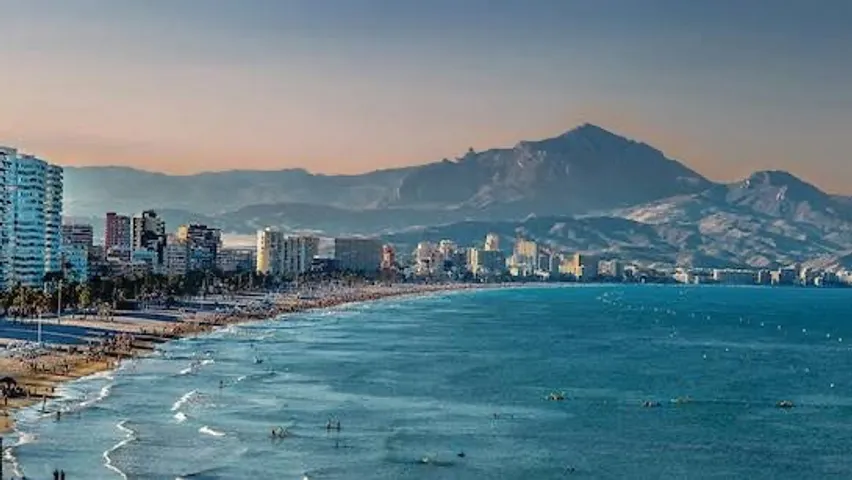 Spain shuts tourist beaches as venomous "Blue Dragons" appear on shores