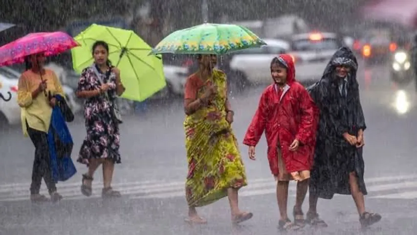 Heavy rainfall lashes Gujarat, waterlogging reported, dams on alert