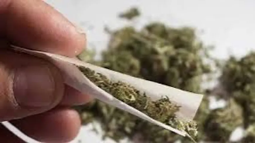 Ahmedabad SOG raid seizes 7 kg of marijuana, 3 detained