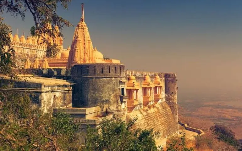 Palitana of Gujarat becomes first city in the world to ban non-veg food