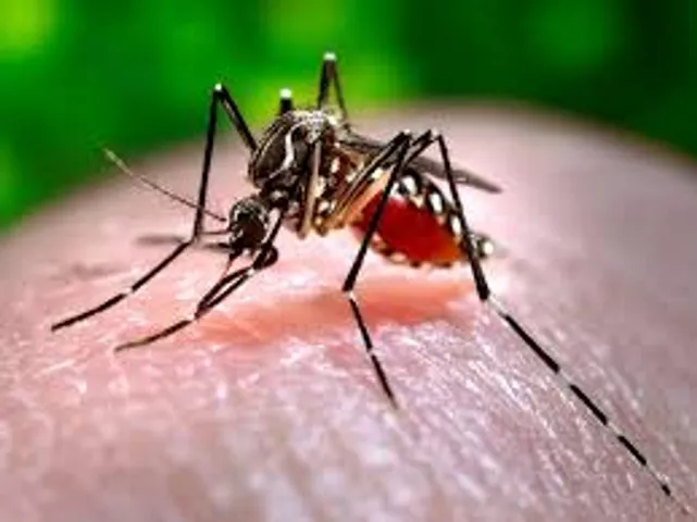 Hyderabad records 2,731 dengue cases amid resurgence in Telangana