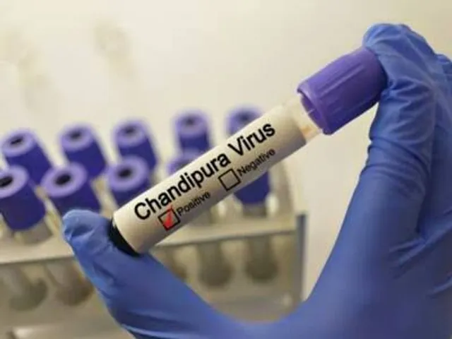 Chandipura virus: 28 children succumbed to virus since July in Gujarat