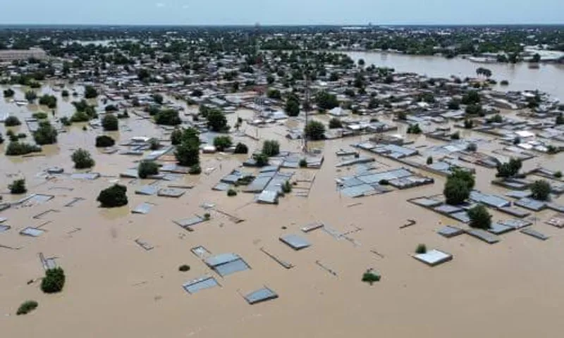 Zoo animals roam streets as floods hit north Nigeria