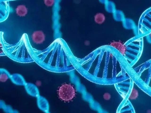 2 cases detected, some areas in Rajkot declared affected by cholera