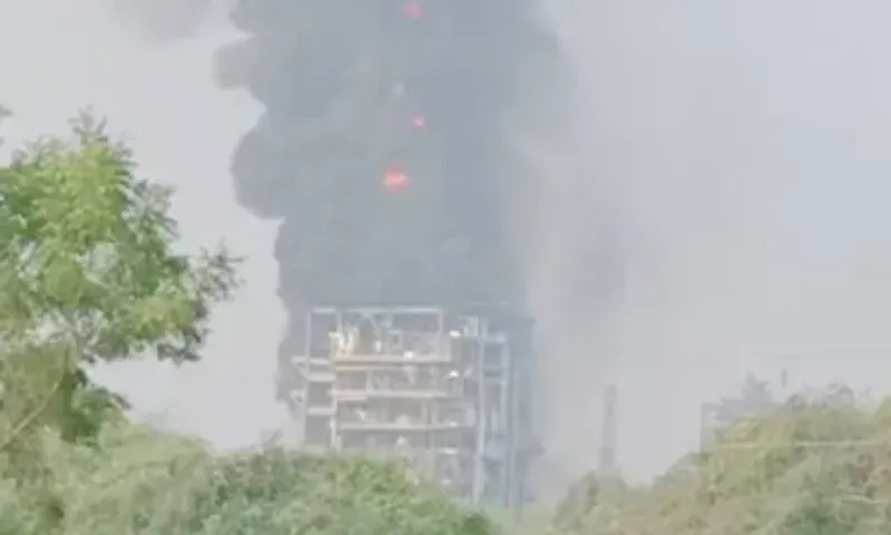 Panchmahal: 2 dead, several injured in blast at chemical factory