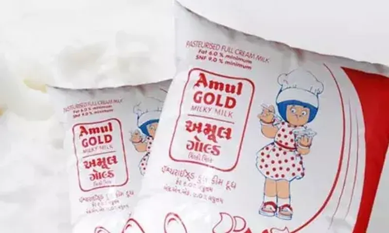 Poll effect: No hike in milk prices in Gujarat