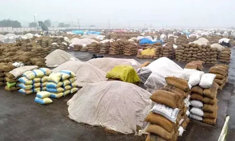 Rain in 30 talukas in Gujarat has sparked fears of crop destruction