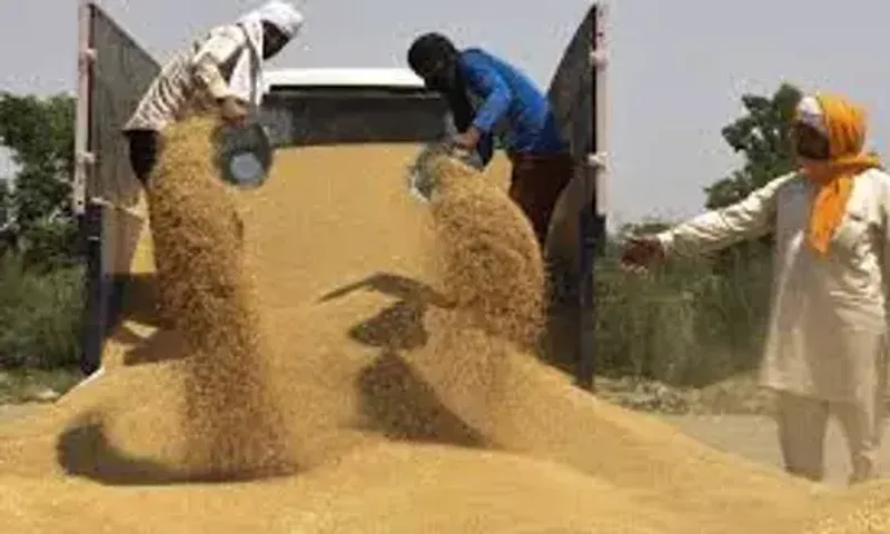 Centre announces wheat export ban, amid surging prices