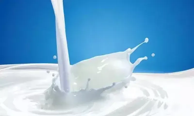 National Milk Day 2021: Health Benefits of Drinking Milk with Breakfast