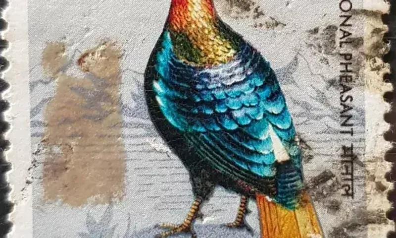 Launching of Parliament of Bird Philatelists FB Page from Vadodara