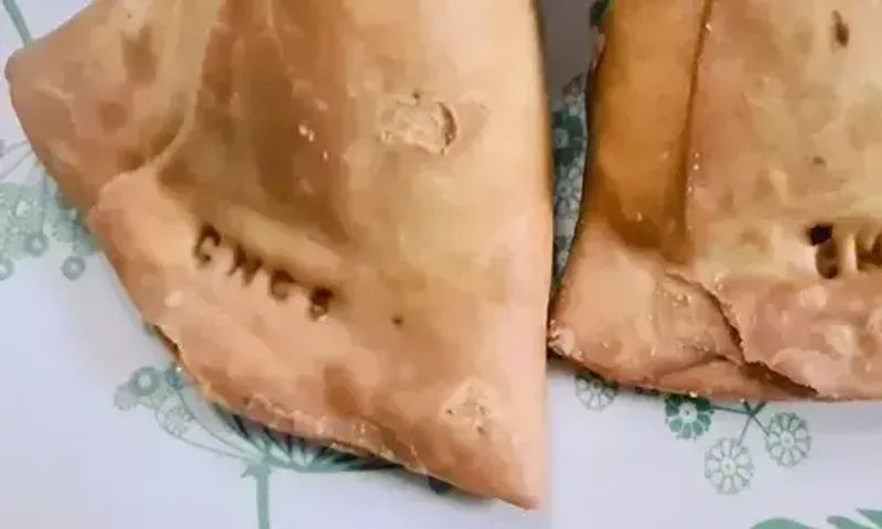 Photo of samosa with numbers, alphabet goes viral