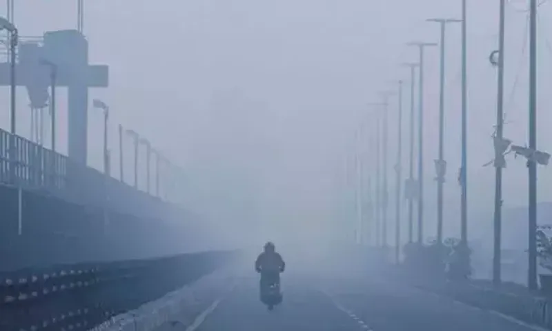 Gujarat is anticipated to have a cold wave until Wednesday, according to IMD