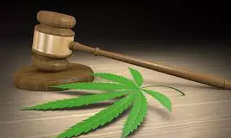 Cannabis legalization is going global- Malta to legalize