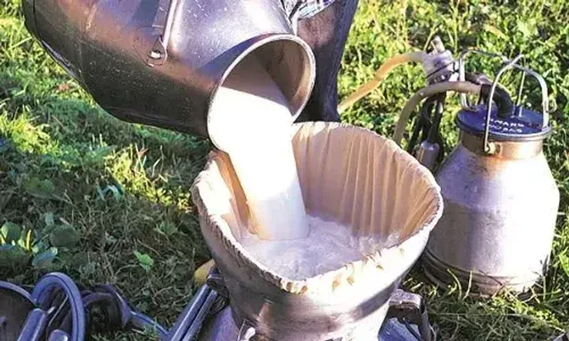 Drinking Milk will be expensive from NEXT week, BIG setback for 'COMMON MAN'